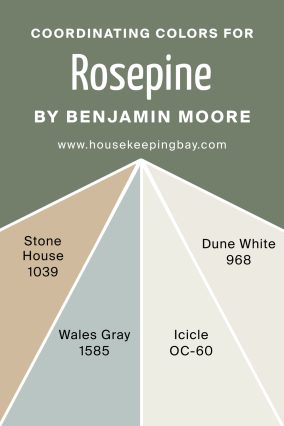 Coordinating Colors of Rosepine 461 by Benjamin Moore