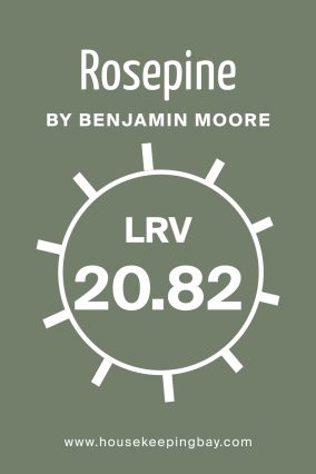 What Is the LRV of Rosepine 461 by Benjamin Moore?