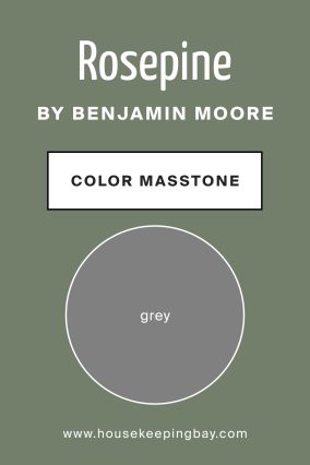 What Is the Masstone of Rosepine 461 by Benjamin Moore?