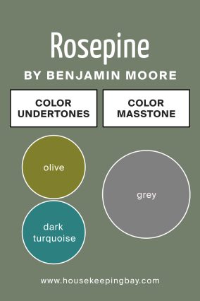 Undertones of Rosepine 461 by Benjamin Moore