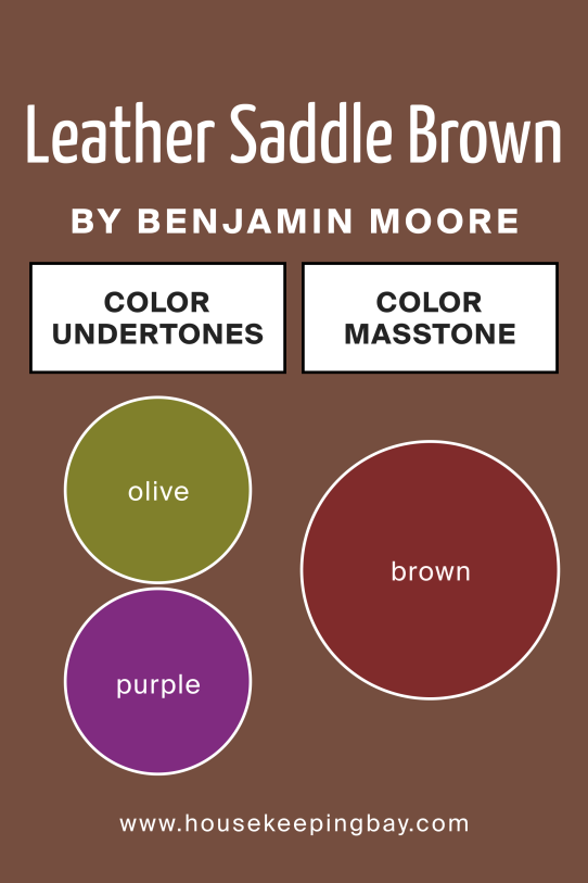 Undertones of Leather Saddle Brown 2100‑20 by Benjamin Moore 