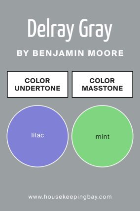 Undertones of Delray Gray 1614 by Benjamin Moore
