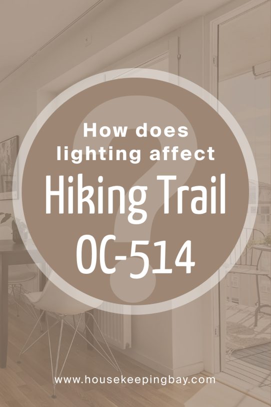 How Does Lighting Affect Hiking Trail CC‑514 by Benjamin Moore?