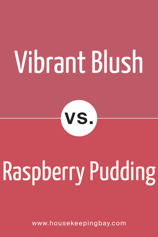 Vibrant Blush vs Raspberry Pudding 2004-30